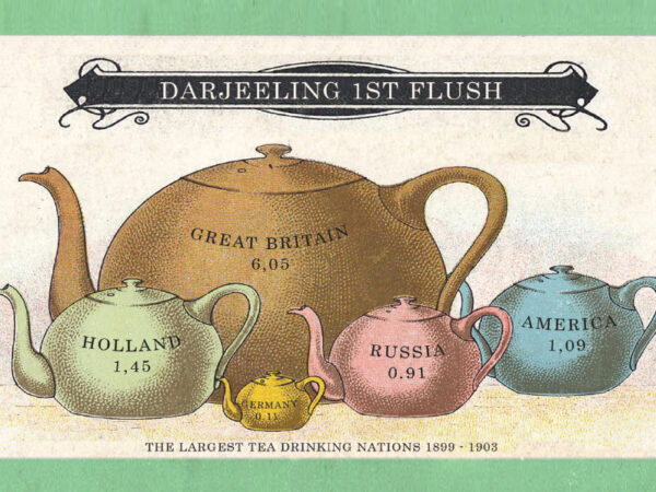 Spring Darjeeling 2026