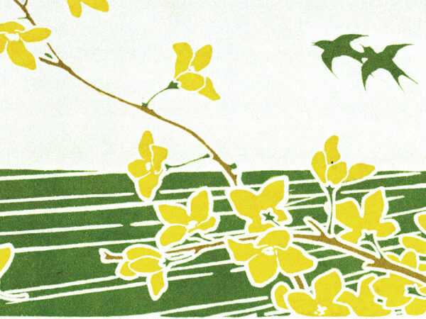 Master Luo's Qing Dynasty Osmanthus Scented Long Jing 2025