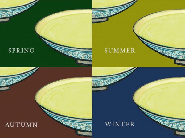Master Fang's Four Seasons of White Tea 2013-2014