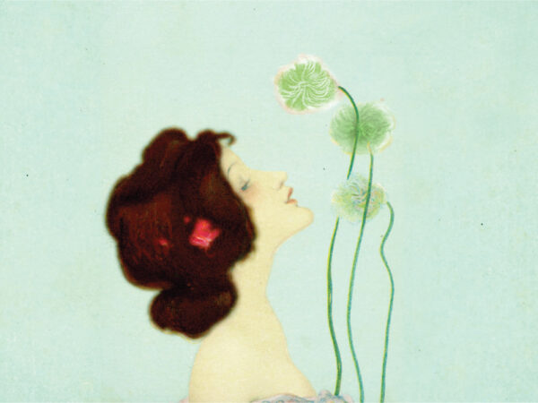 French Peppermint