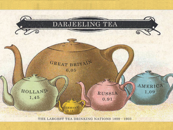 Golden Darjeeling