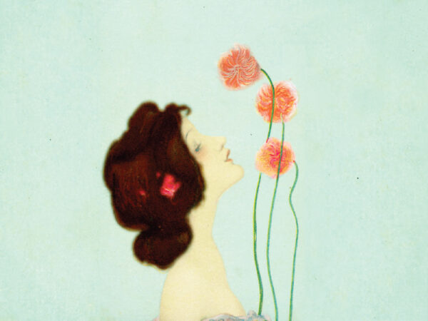 Rosebuds