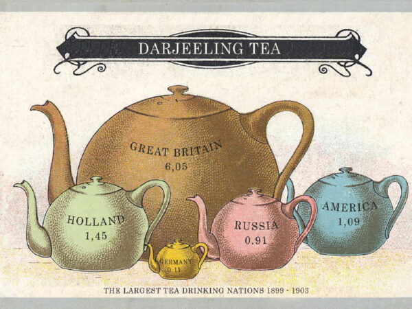 Summer Darjeeling