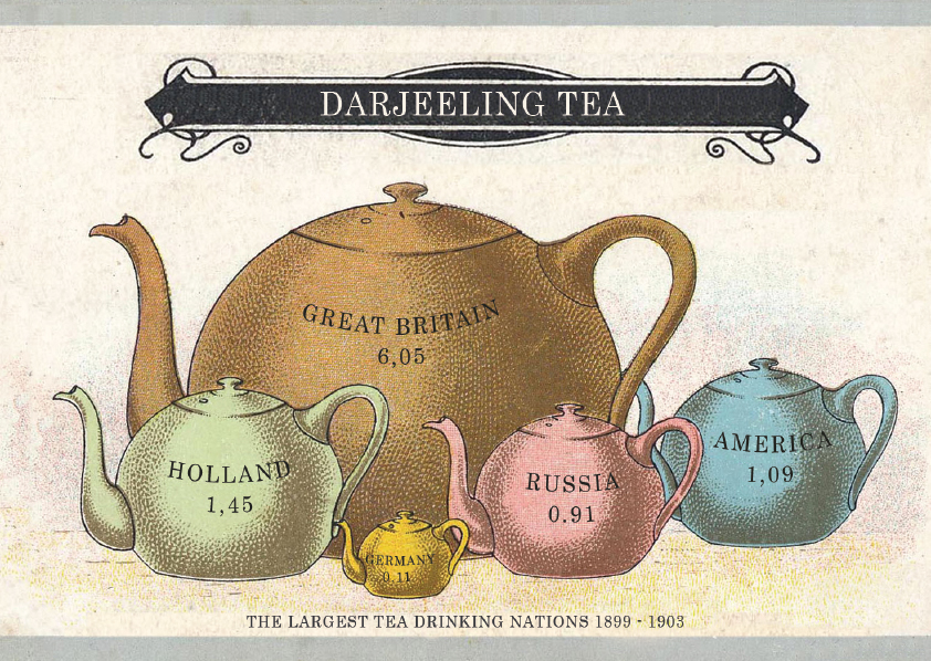 Summer Darjeeling