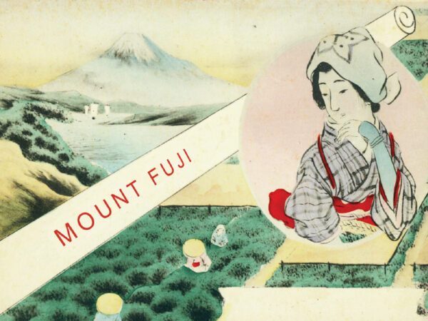 Fuji Sencha