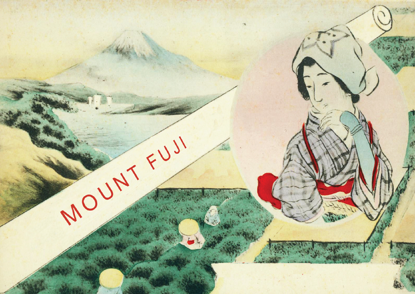 Fuji Sencha