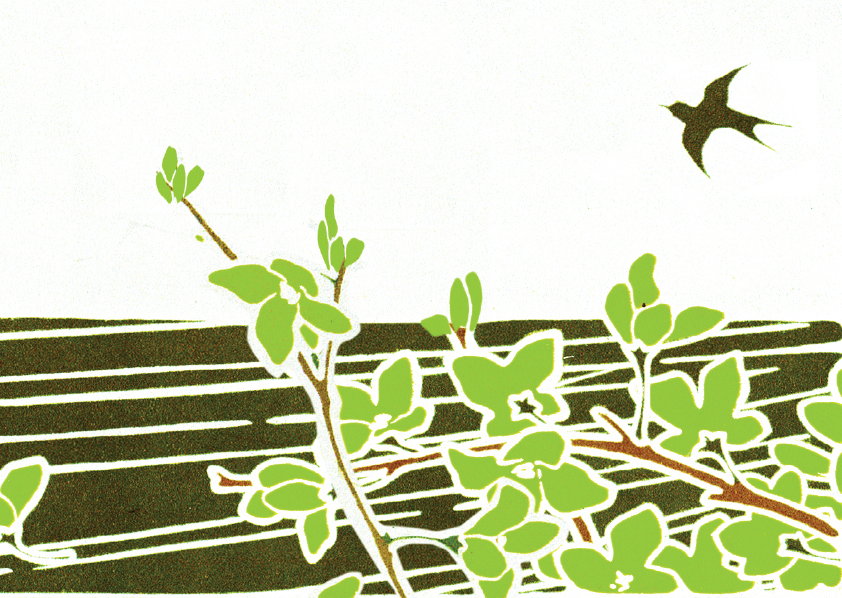 Long Jing