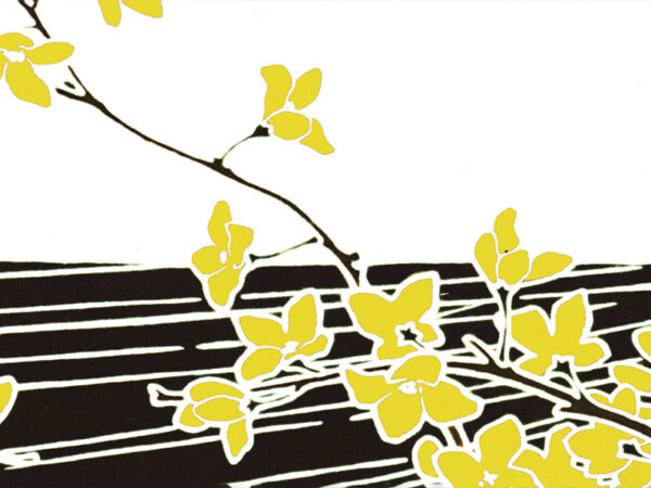 Osmanthus Black