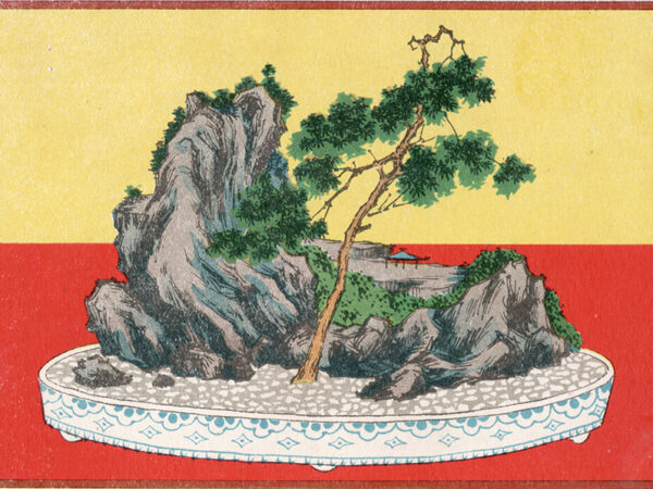 Master Xu’s Rou Gui (Shui Lian Dong) 肉桂 2025